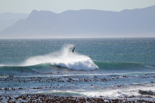 Gansbaai 001